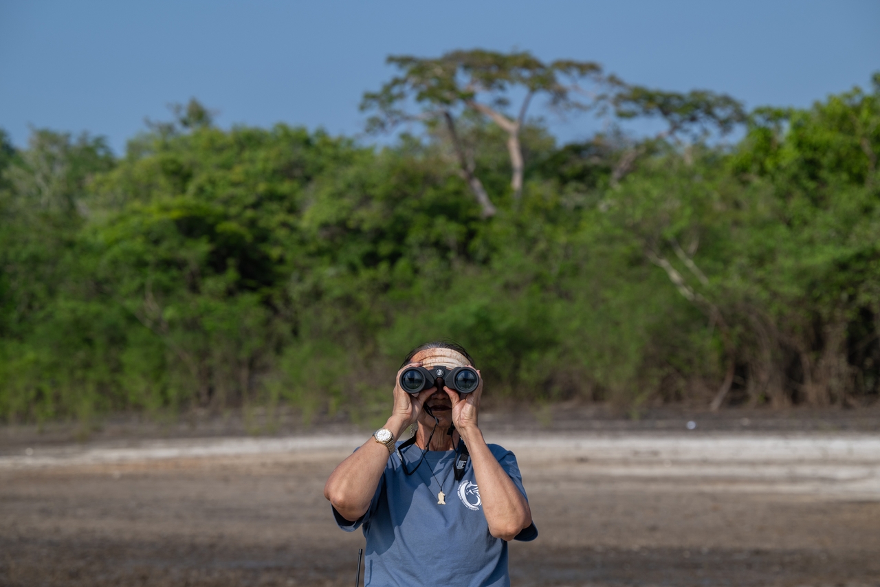 Miriam Marmontel scans a tributary to Lake Tefé during a health assessment for the lake's pink river dolphins in August.