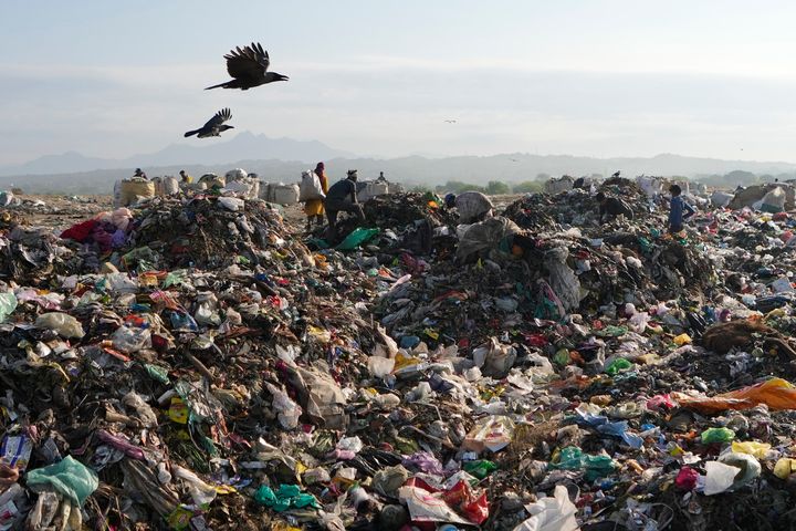 Indian rag pickers look for reusable material at a garbage dump filled with plastic and other waste material on the outskirts of Jammu, India, April 22, 2024.