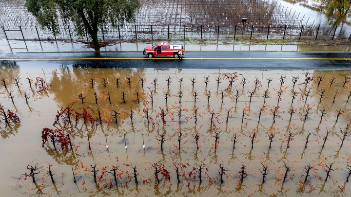 A firefighter returns to his truck among flooded vineyards as heavy rains continue in Windsor, California on Nov. 22.