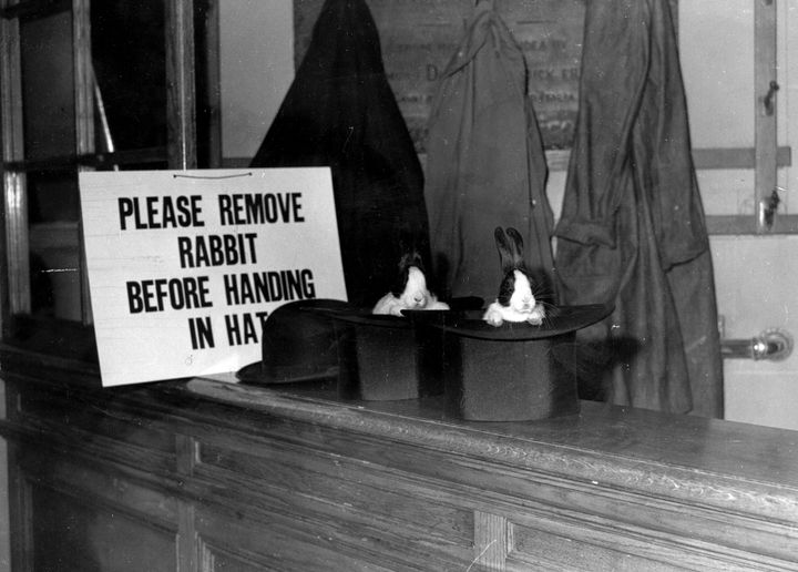 Two rabbits are seen peering out of top hats belonging to Magic Circle magician Gus Davenport. The organization says it wants to locate Lloyd to offer an apology and membership.