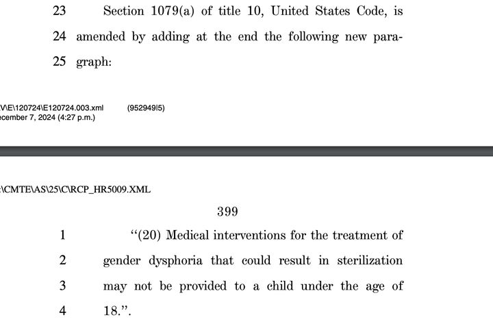 House Republicans tucked a provision in the National Defense Authorization Act that would strip health care coverage for military families' trans kids.