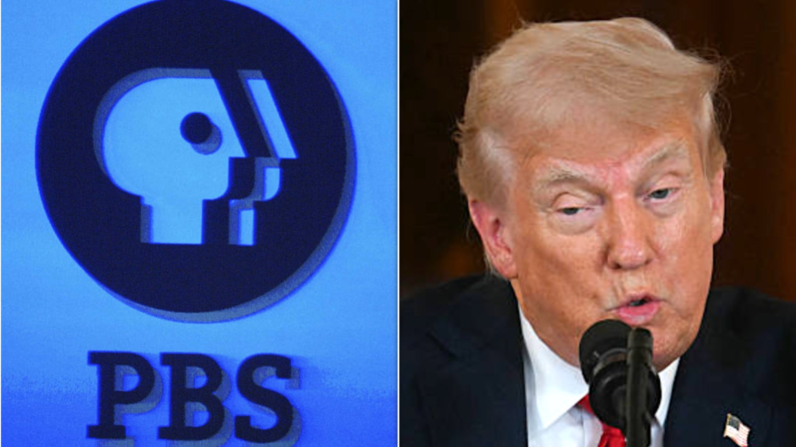 Trump targeted PBS and NPR in a new executive order.