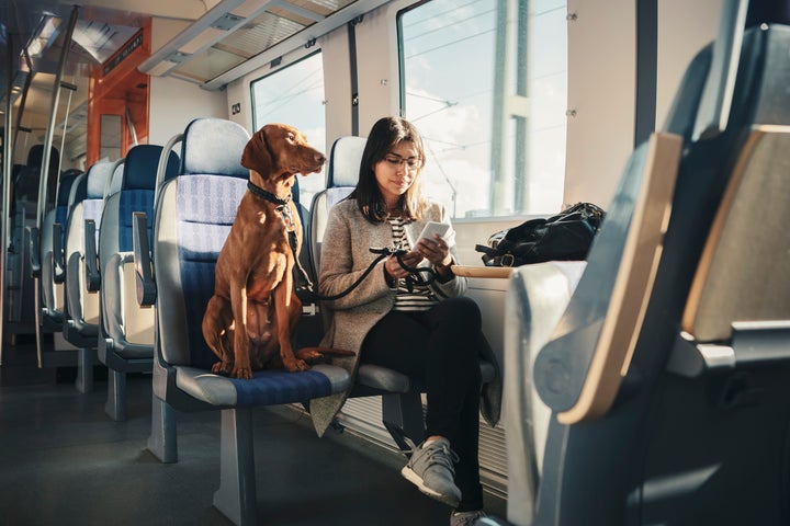 Find out the transit situation and if dogs are allowed.