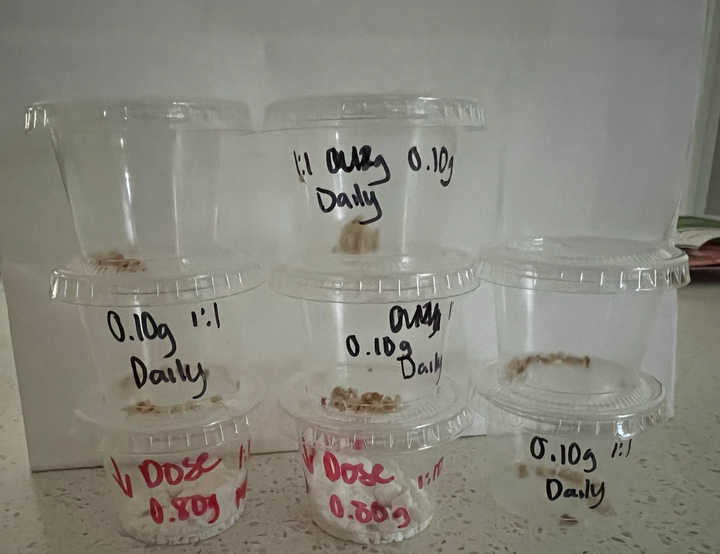 “A week’s worth of take-home doses carefully measured by the nurses at my appointments,” the author writes.