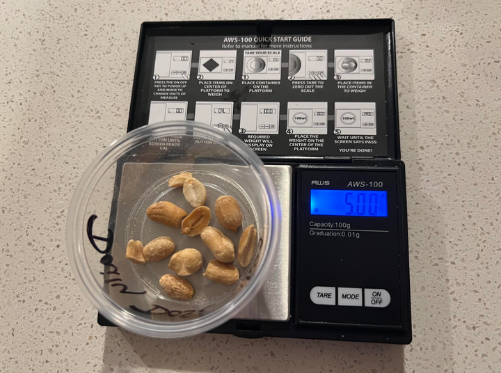 “Now that I’ve finished my OIT course and reached my maintenance dose, I carefully weigh 5 grams of peanuts to take every day,” the author writes.