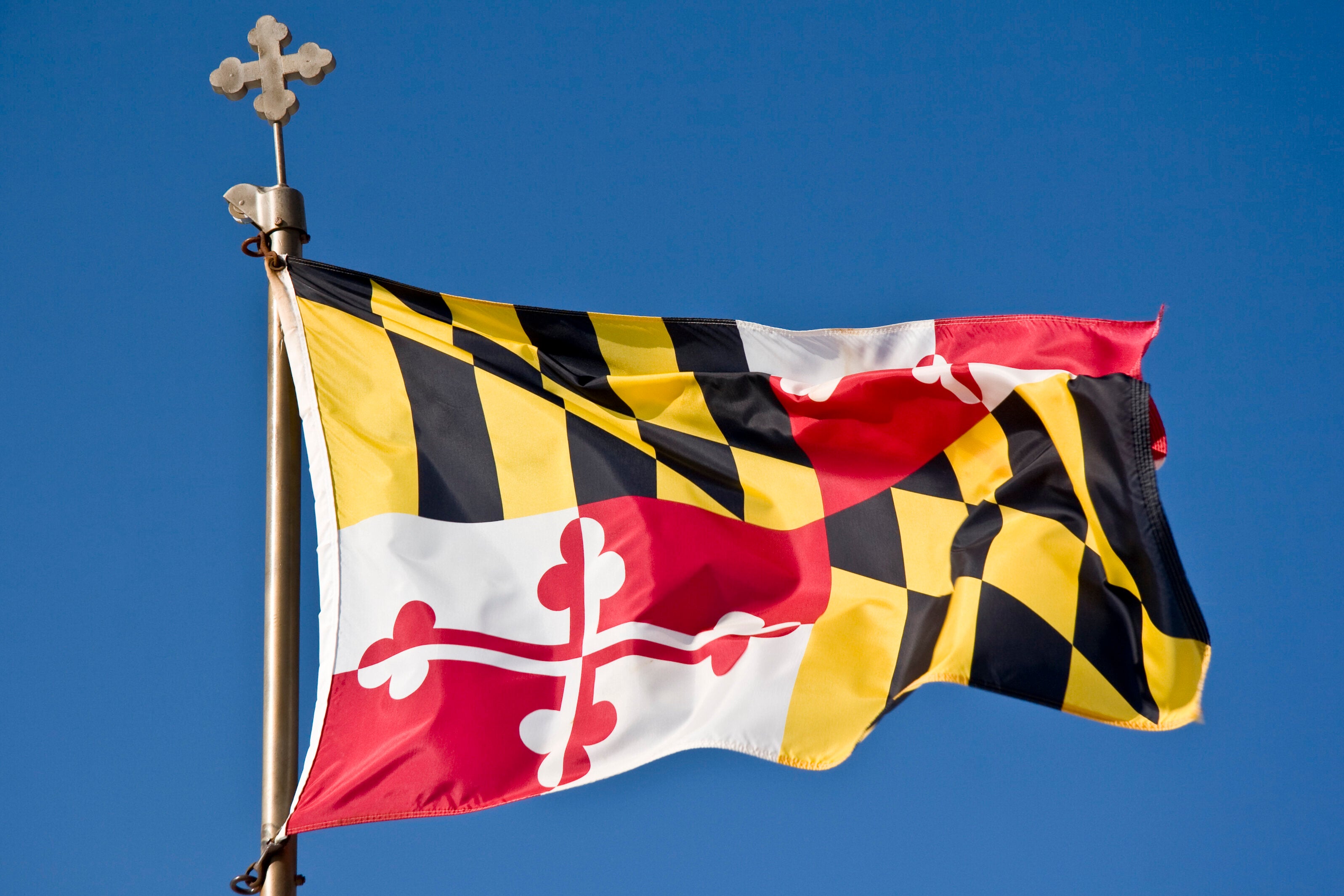 Andrea “Alex” Ye, 19, of Rockville, Maryland, was sentenced Wednesday to 10 years in prison, with all but 12 months suspended, after being found guilty earlier this year of threatening to commit mass violence.